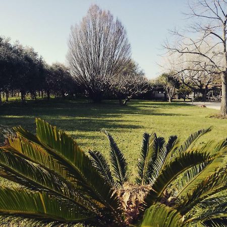 B&B Villa Napoli Battipaglia Eksteriør bilde