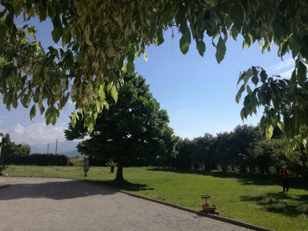 B&B Villa Napoli Battipaglia Eksteriør bilde