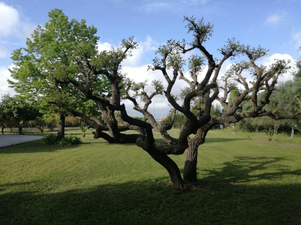 B&B Villa Napoli Battipaglia Eksteriør bilde