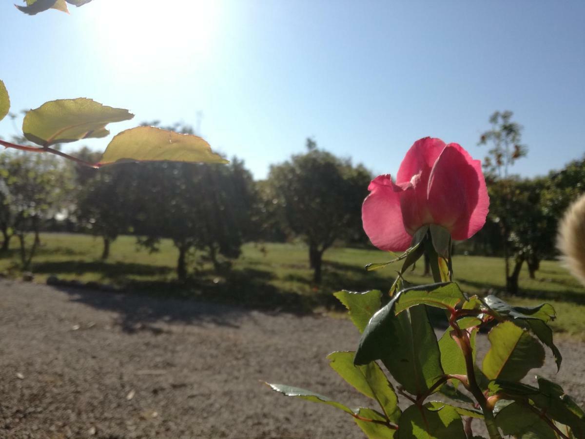 B&B Villa Napoli Battipaglia Eksteriør bilde