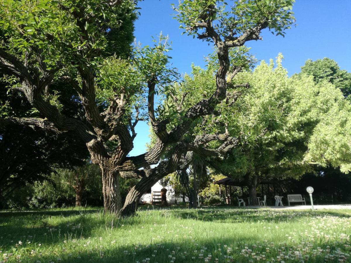 B&B Villa Napoli Battipaglia Eksteriør bilde